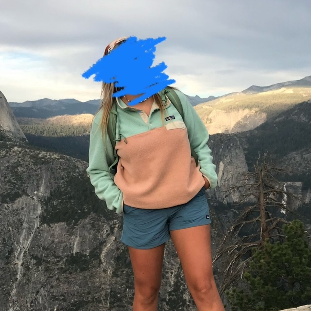 Patagonia Synchilla Fleece // Pink and Blue // L